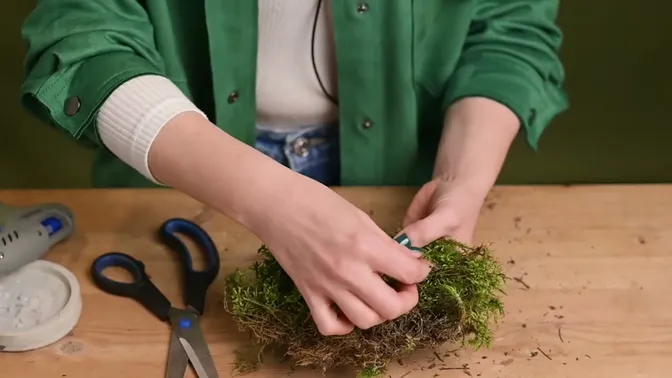 Hands cleaning the underside of a piece of moss