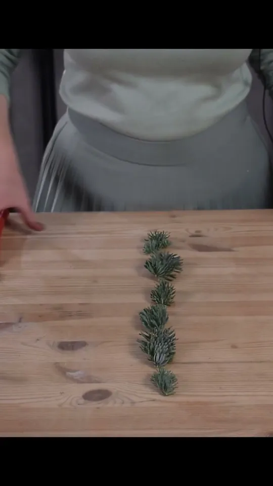 Small fir sprigs connected along a fine wire garland