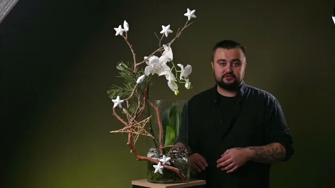 A white Phalaenopsis orchid in a tall glass vessel with moss, pine driftwood, a green pine sprig and white star decorations.