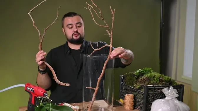 Two twisting pine branches held beside a glass cylinder, with one branch extending down inside it.