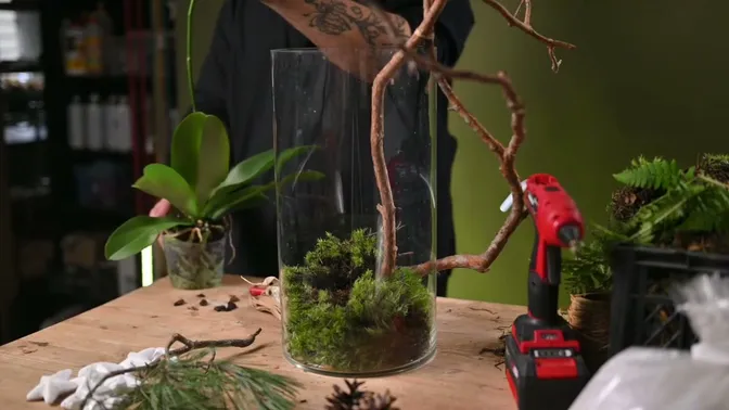 Moss lining the bottom of a glass vase while the orchid remains in its clear pot beside it.