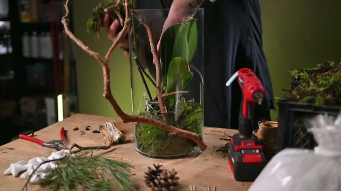 The orchid inside the glass vase as moss is added around the pot, beside the upright inner branch.