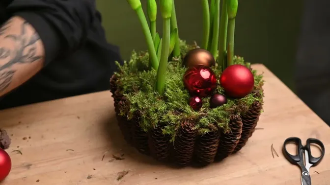 A cluster of red, bronze and dark baubles sitting low on the moss between tall green amaryllis stems.