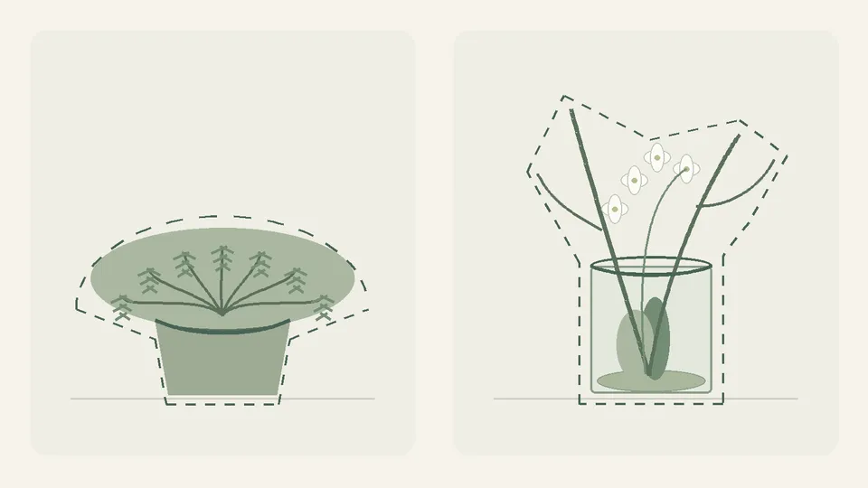Conceptual diagram: a low rounded evergreen mass in an opaque pot beside an upright open display in glass, with dashed outer contours and dark vessel rims.