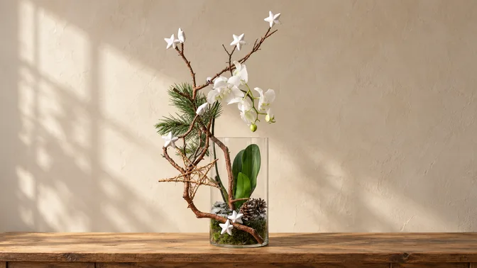 A white orchid, twisting branches and stars in a glass cylinder on a wooden surface.