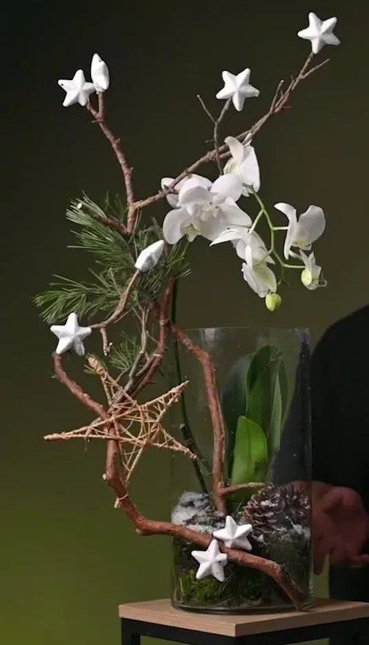 Winter orchid in a glass vase, with pine branches, moss, cones and white stars.